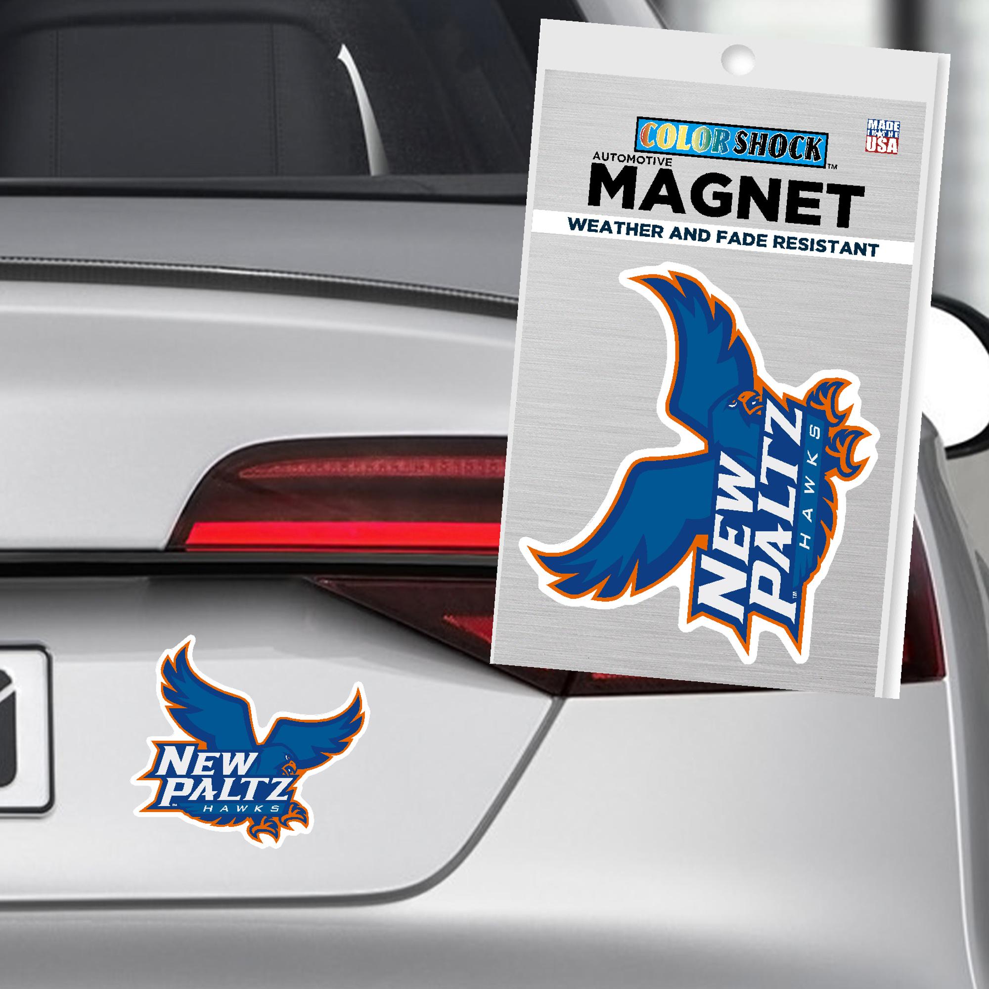 Product image 1 of 1 for Car Magnet - Flying Hawk