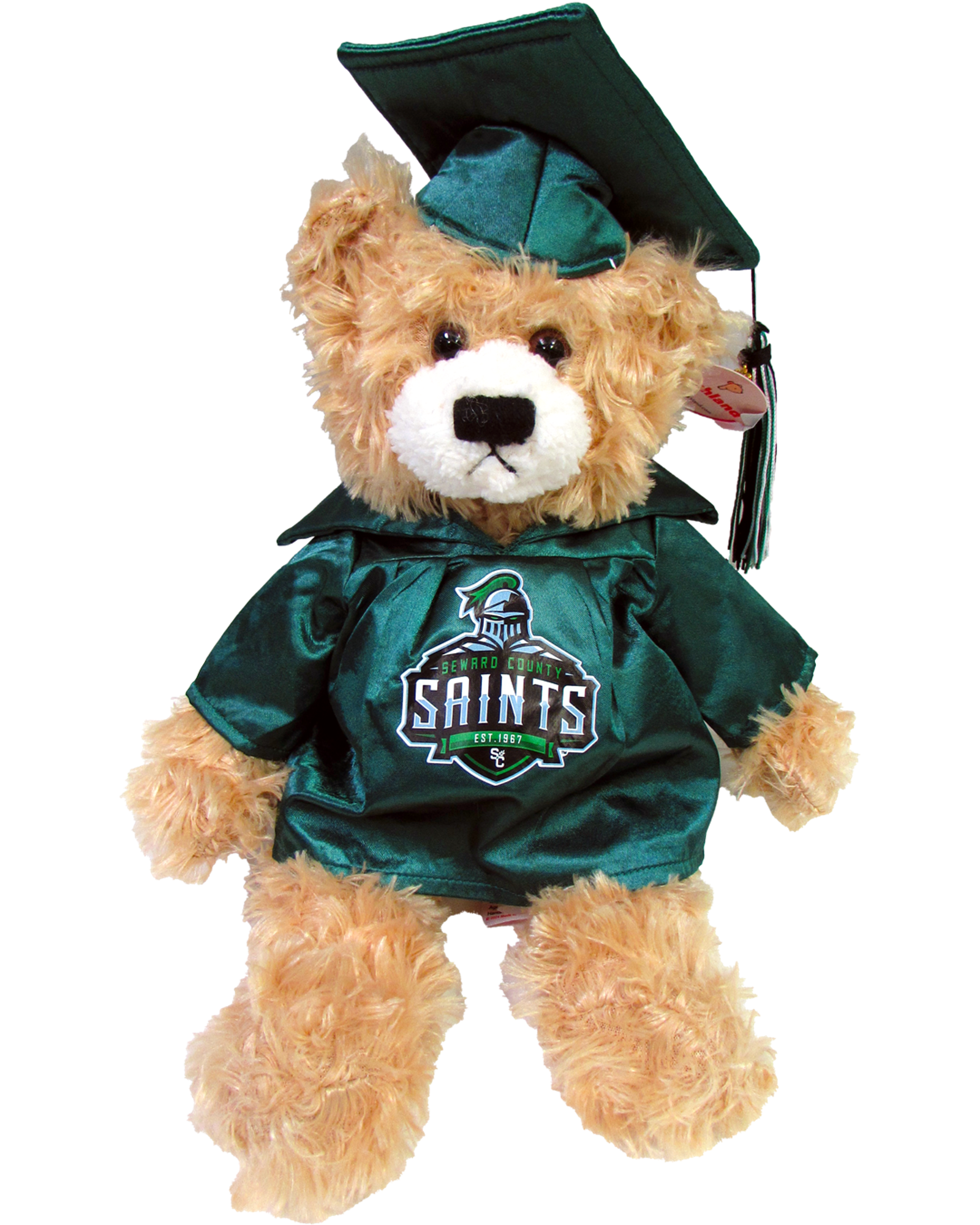 Product image 1 of 3 for Graduation Beige Bear Green Cap & Gown 12"