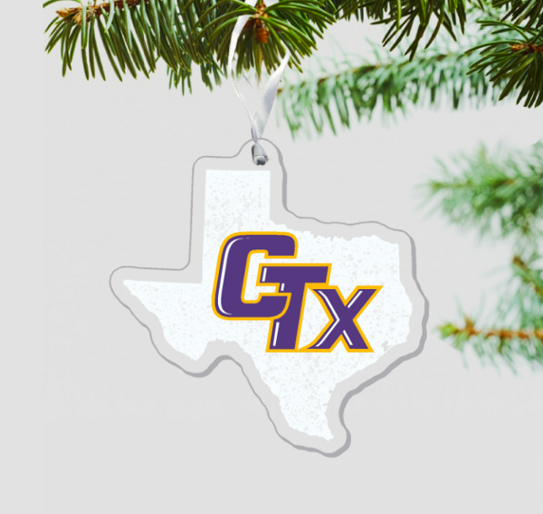 Texas State Ornament; $8.99