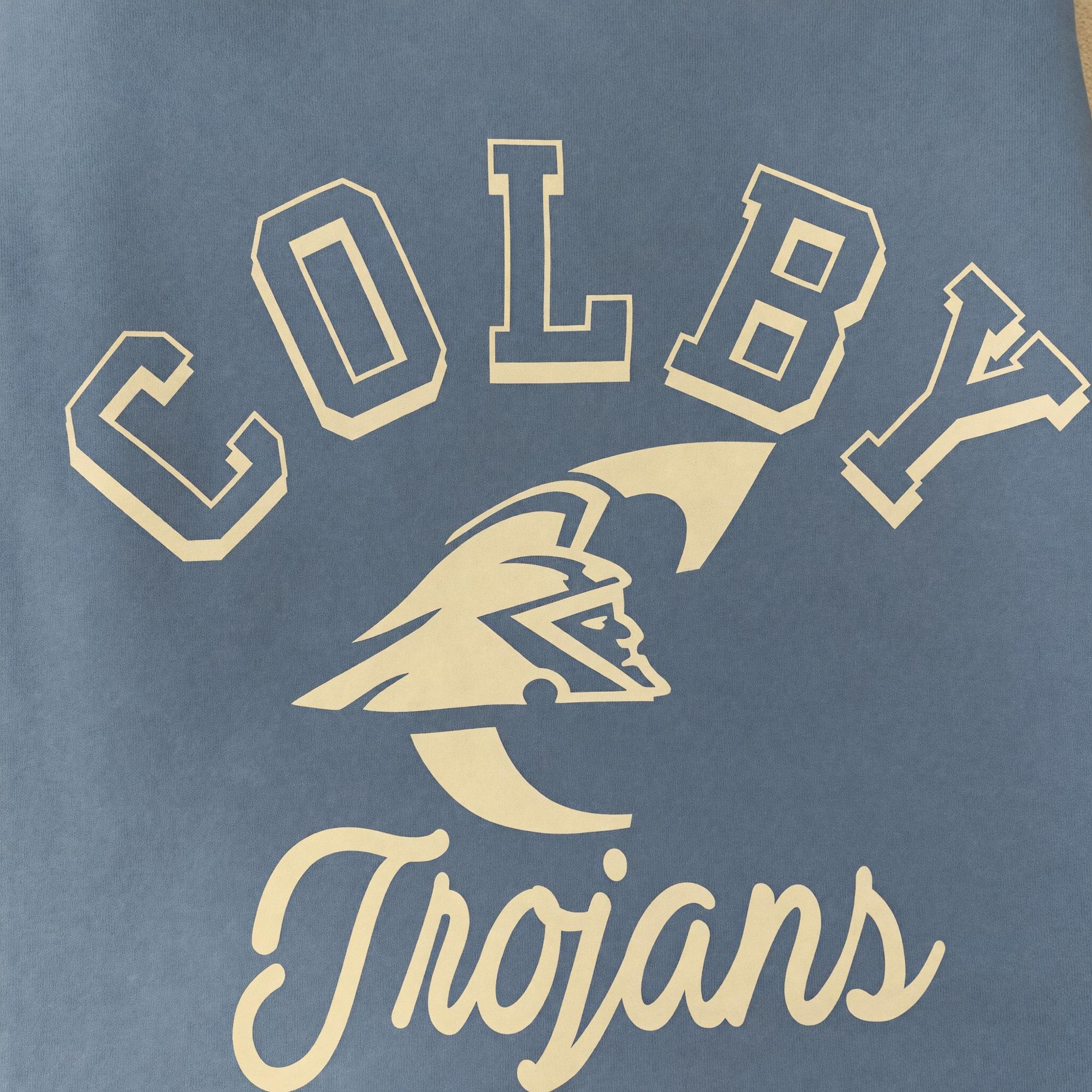 Variant 7 of 17 for Sweatshirt Blanket