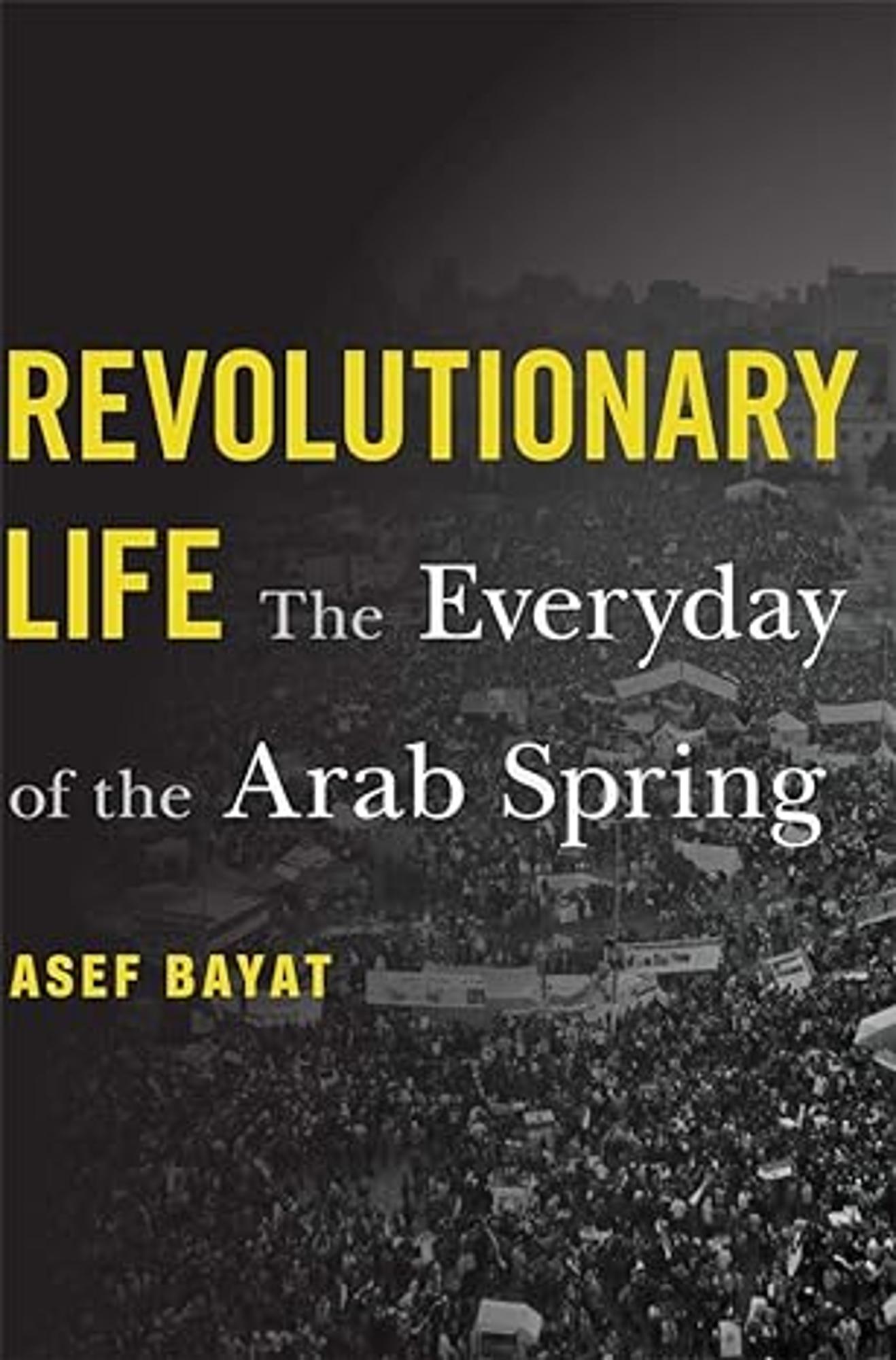Cover image for Revolutionary Life : The Everyday of the Arab Spring