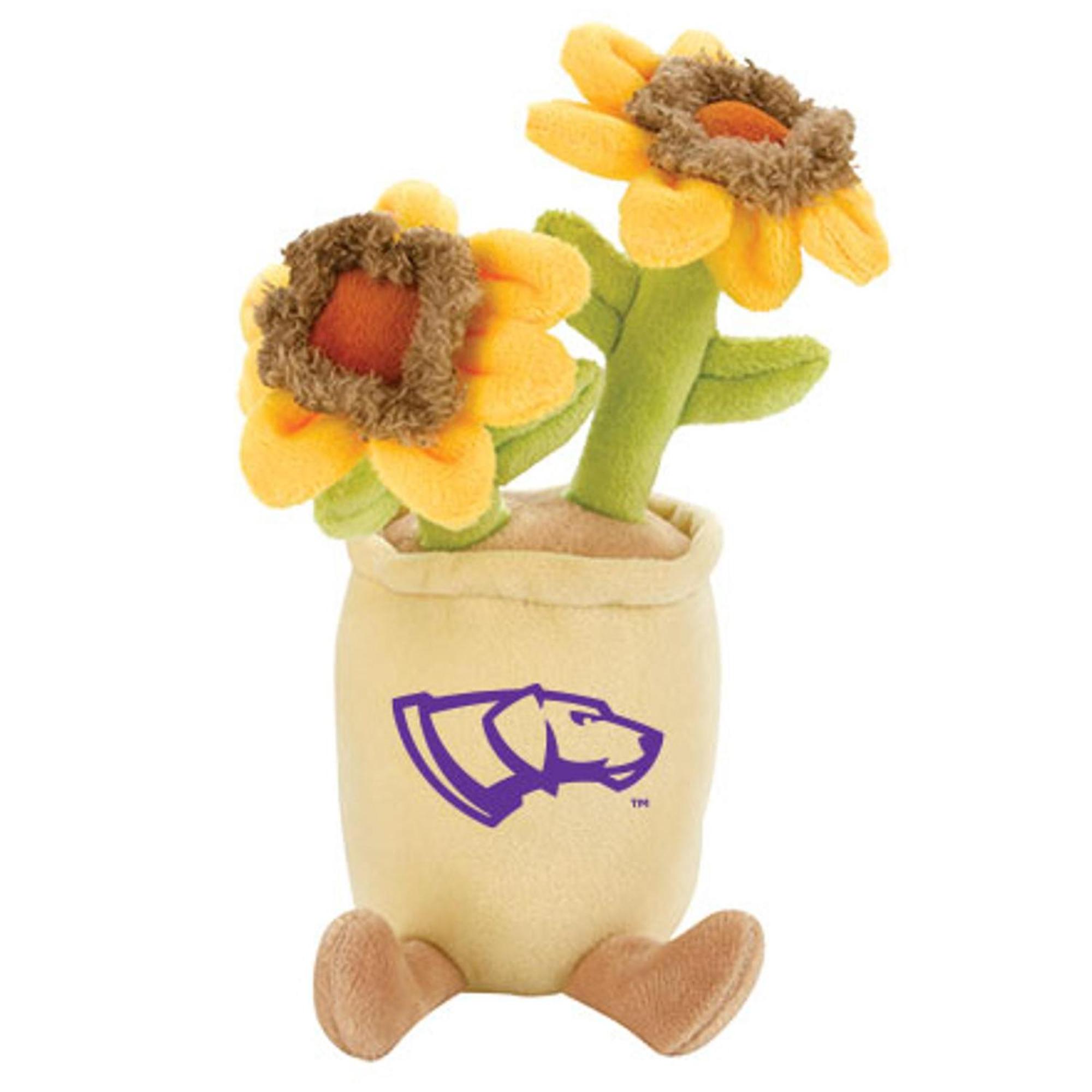 Product image 3 of 5 for UWSP Pointers Zenzies Stuffed Potted Plants