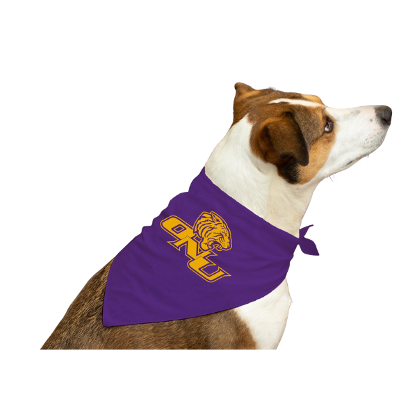 Triangle Pet Bandana; $9.99