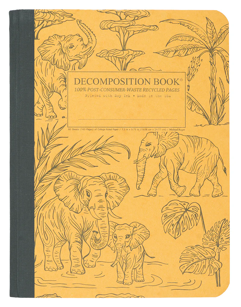 Variant 47 of 47 for DECOMPOSITION BOOK (LARGE)