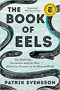 Cover image for BOOK OF EELS