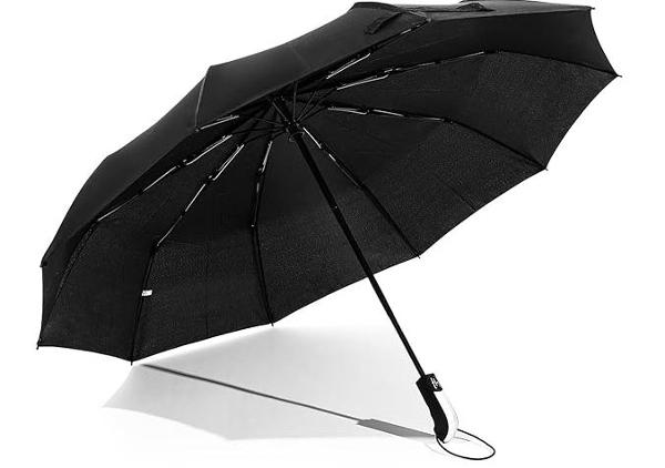 Compact Auto-Open Travel Umbrella; $14.99