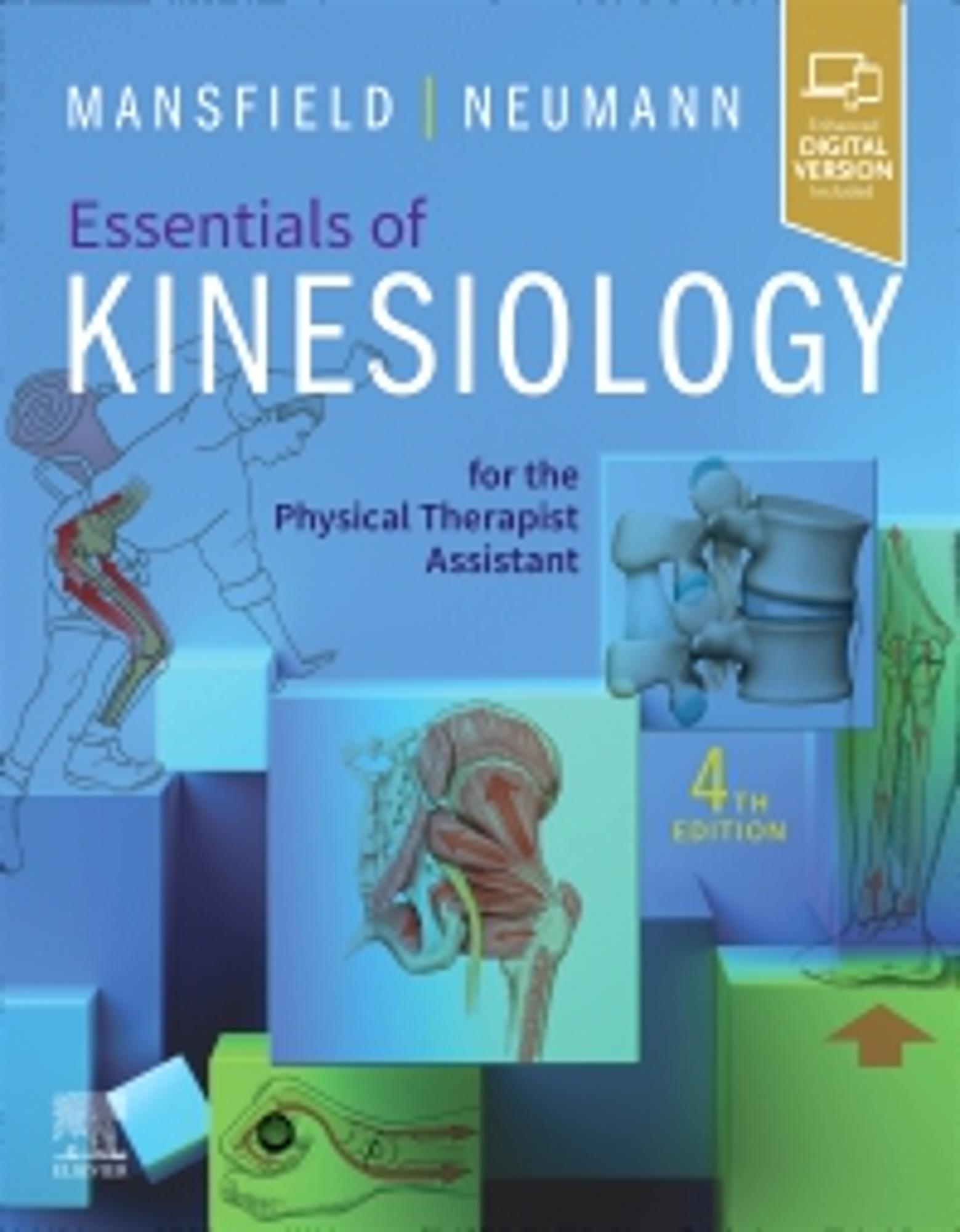 Cover image for Essentials of Kinesiology