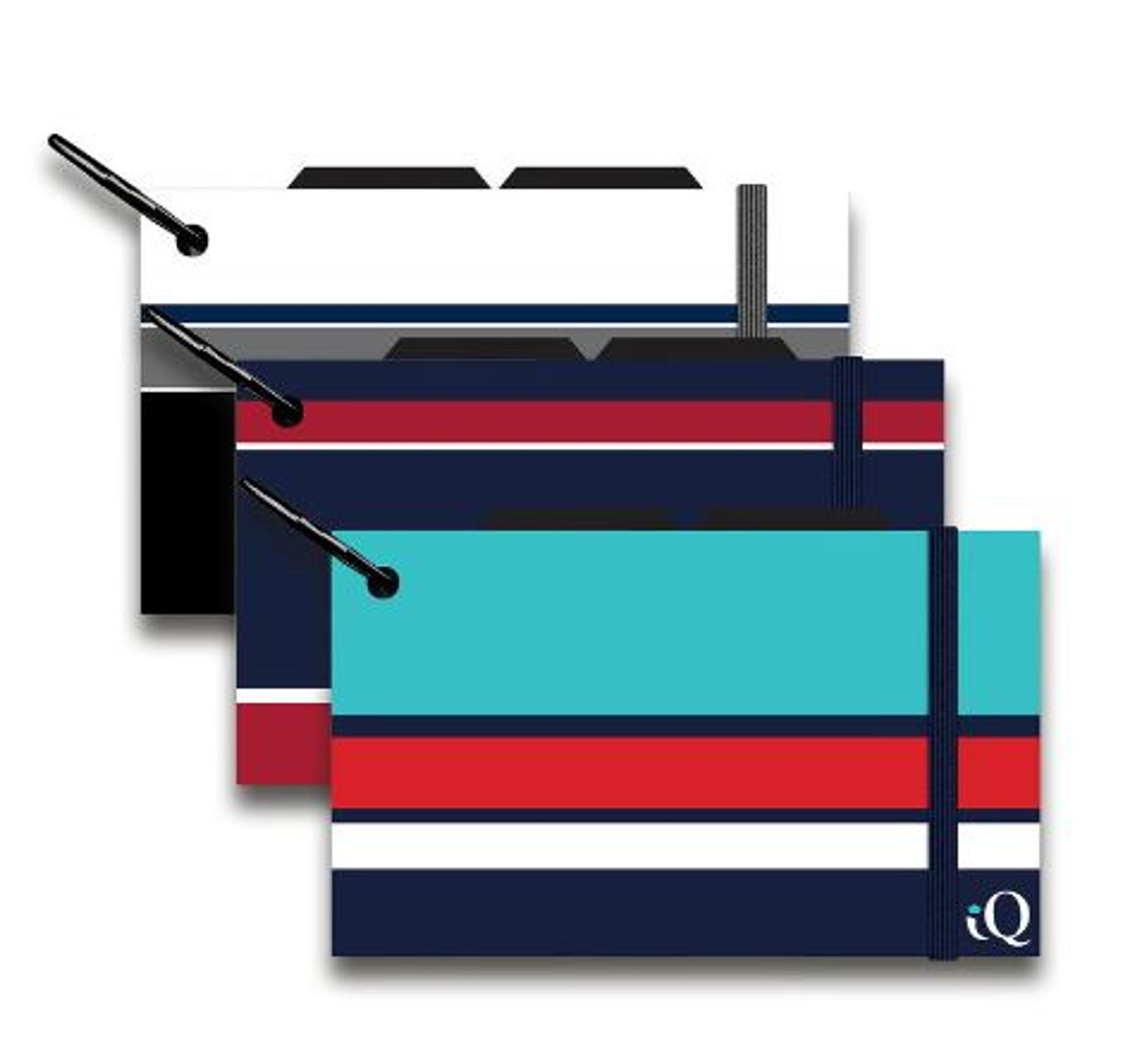 iScholar Index Cards on A Ring -  100pk