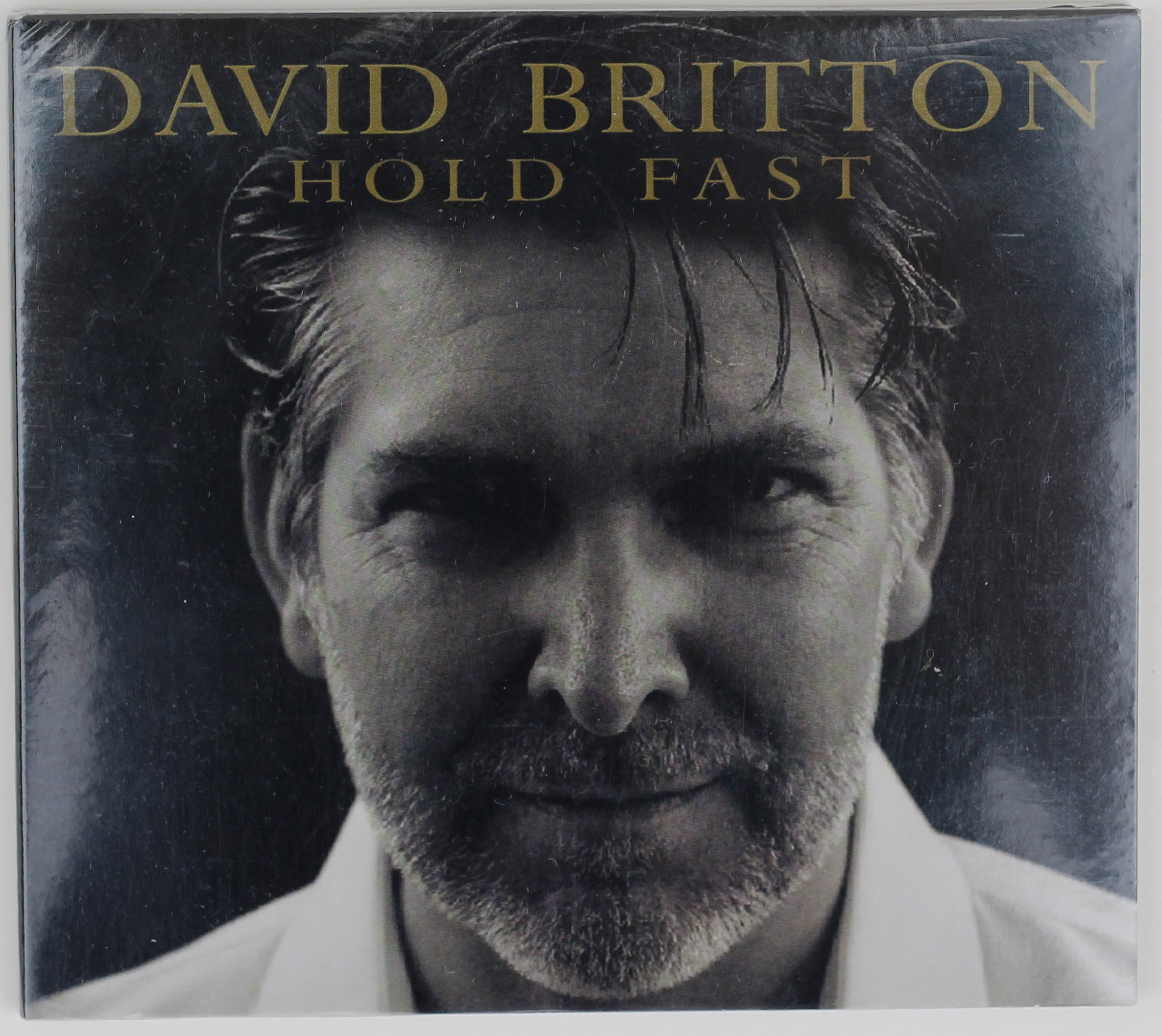 image of: Hold Fast - David Britton CD