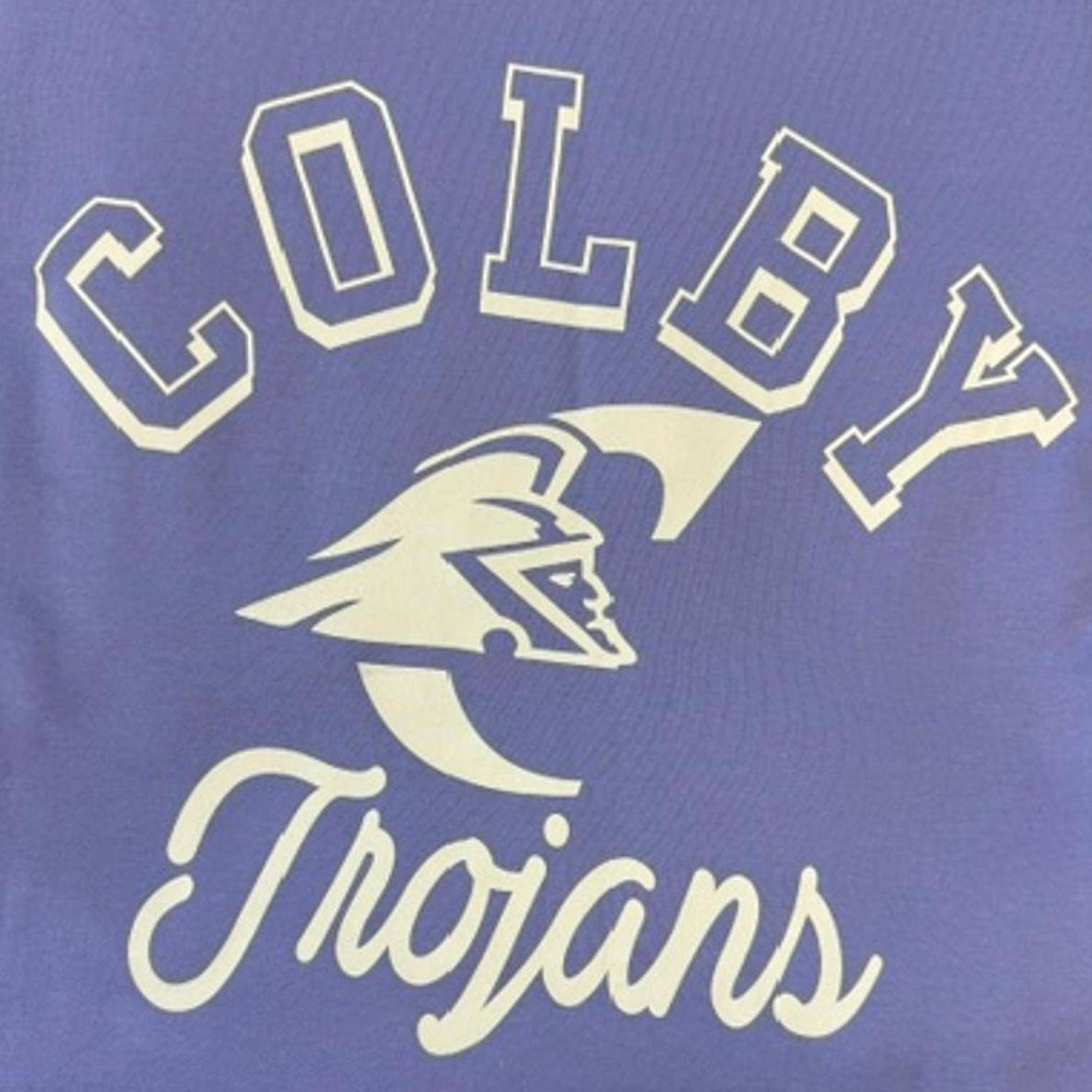 Variant 14 of 17 for Sweatshirt Blanket