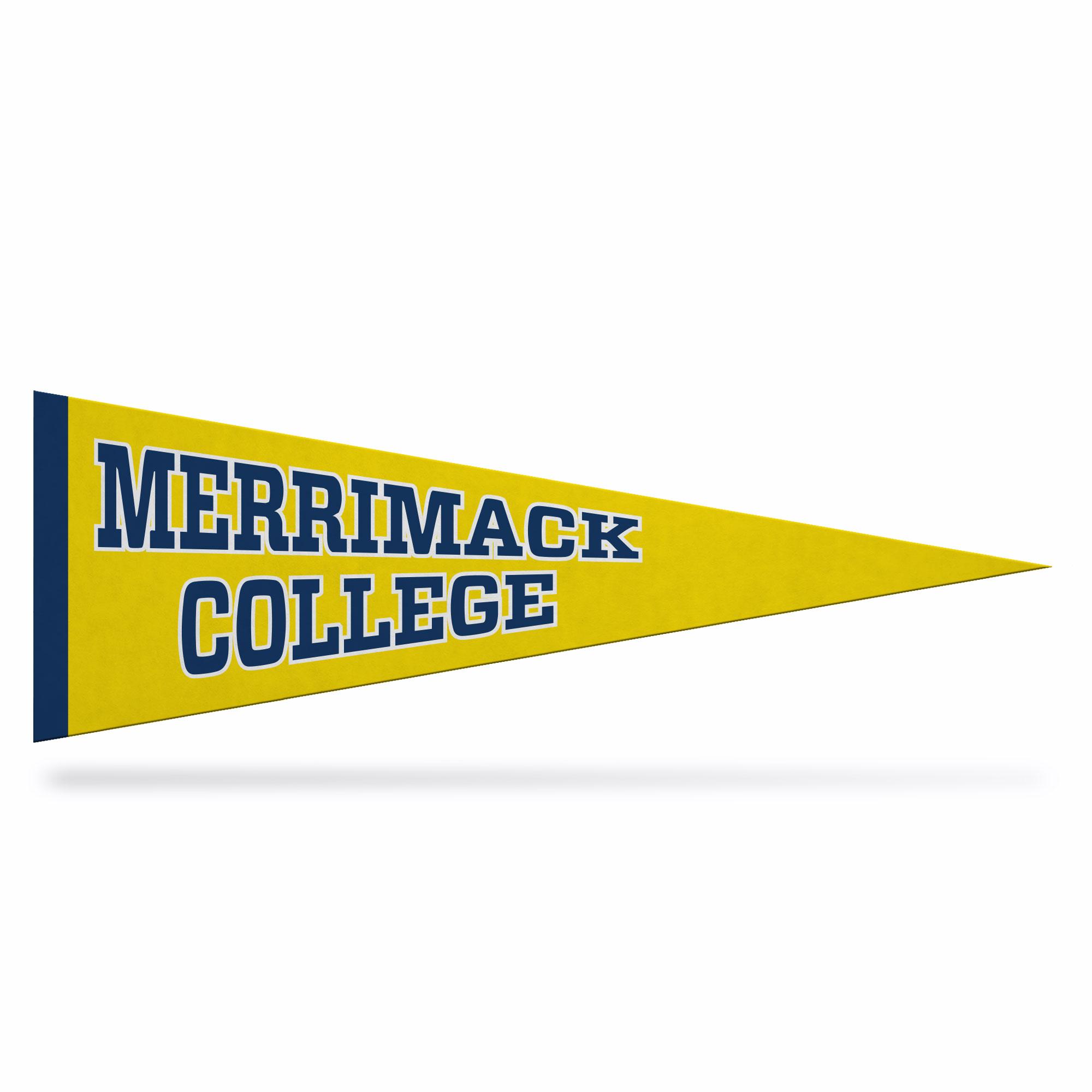 Product image 3 of 4 for 5"x15" Pennant