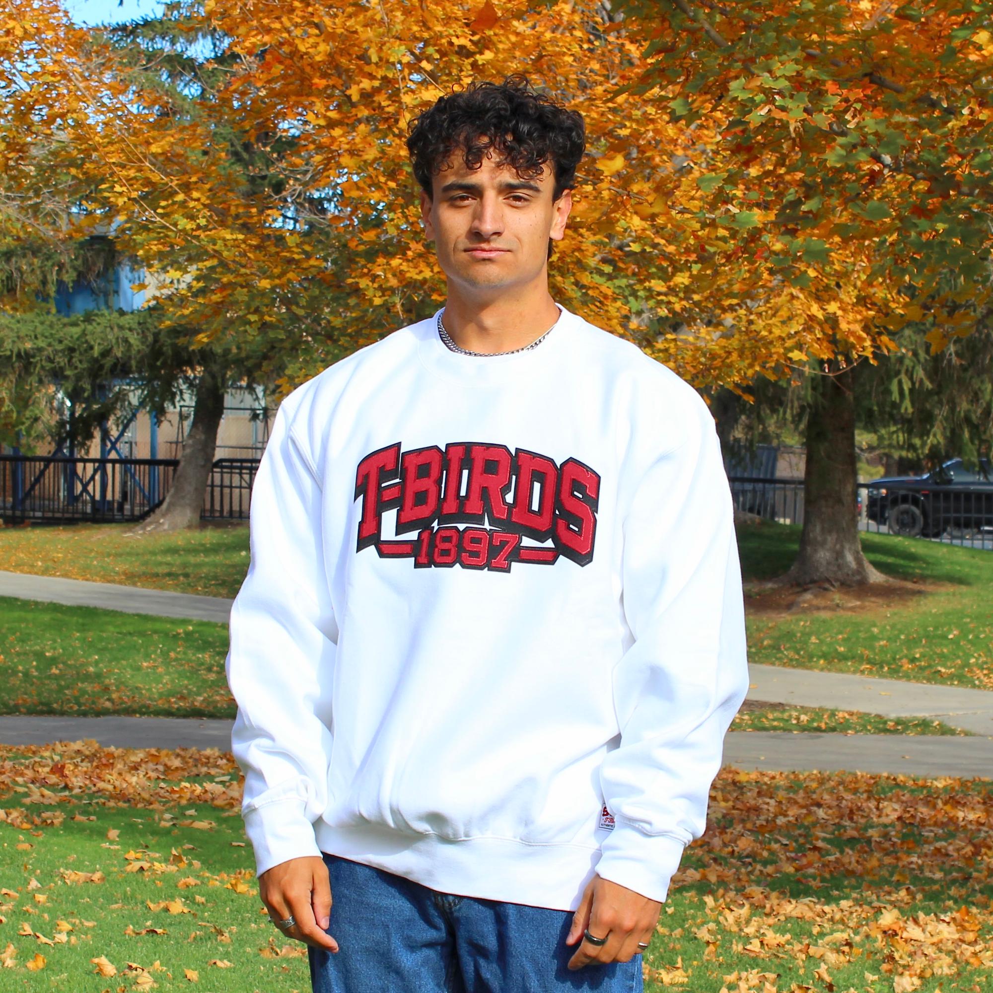 image of: Sports Crew White T-Birds