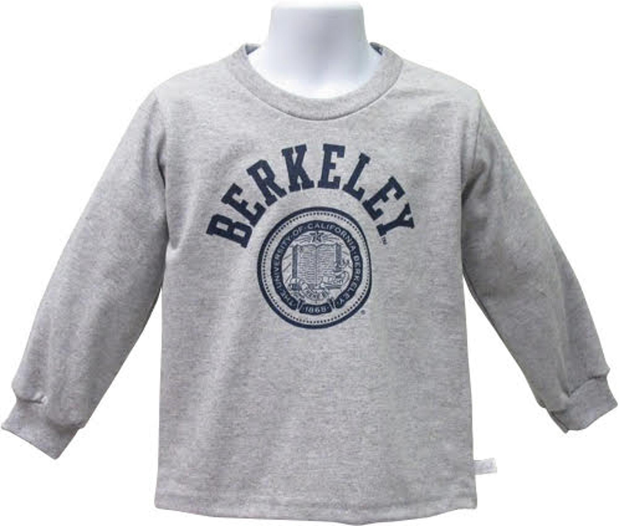 Enlarged product image