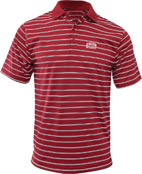 Union University Stripe Polo; $54.99