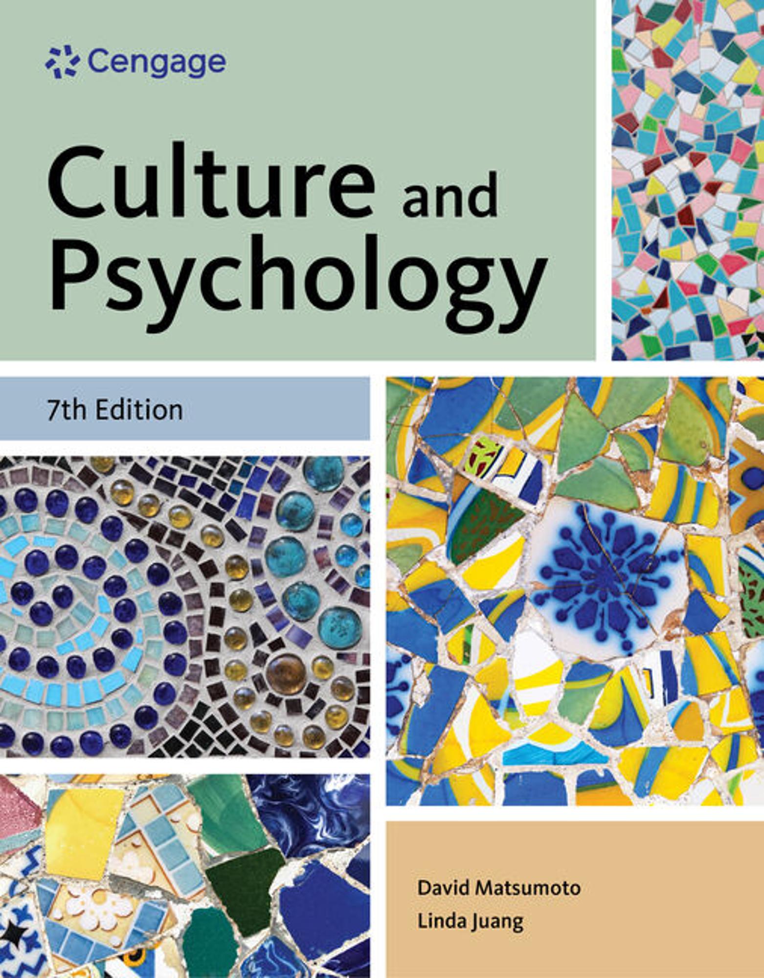 Cover image for CULTURE+PSYCHOLOGY