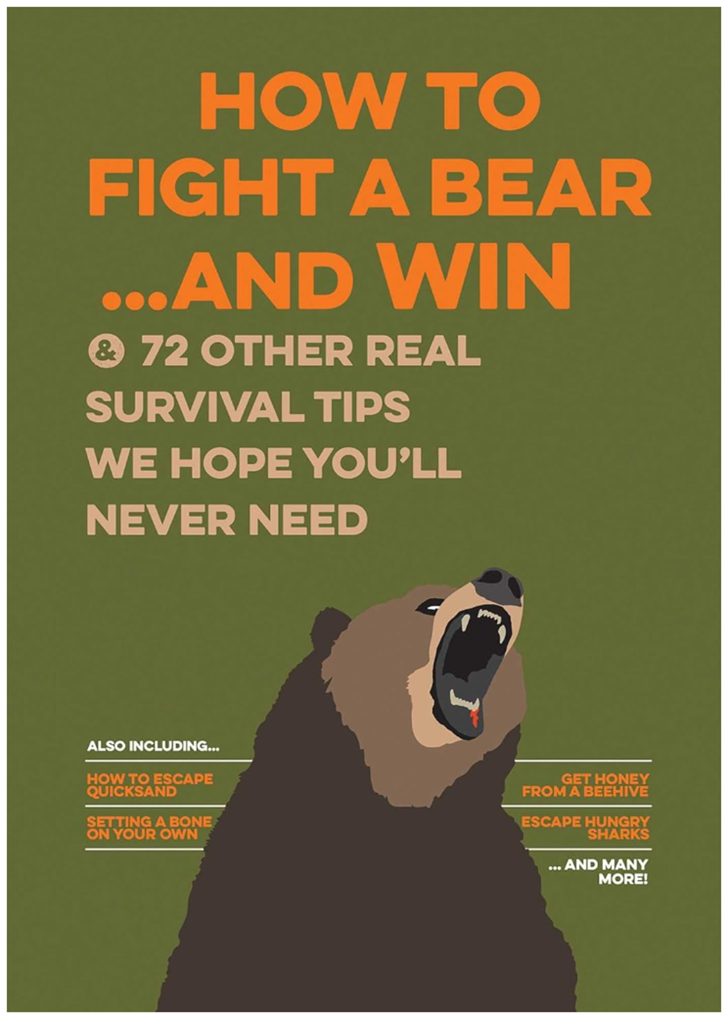 Cover image for HOW TO FIGHT A BEAR... AND WIN