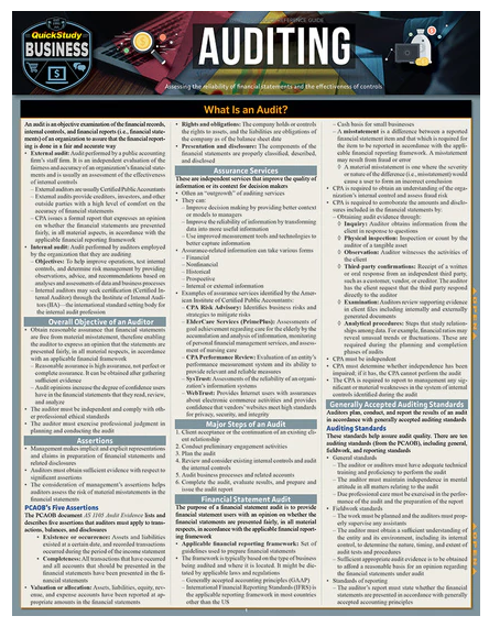 Cover image for AUDITING LAMINATED STUDY GUIDE