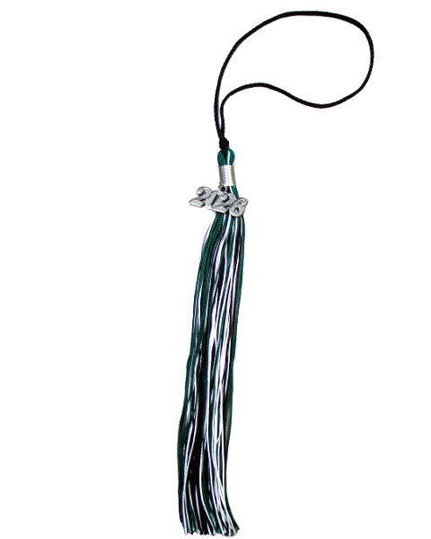 GRADUATION TASSEL SILVER; $14.99