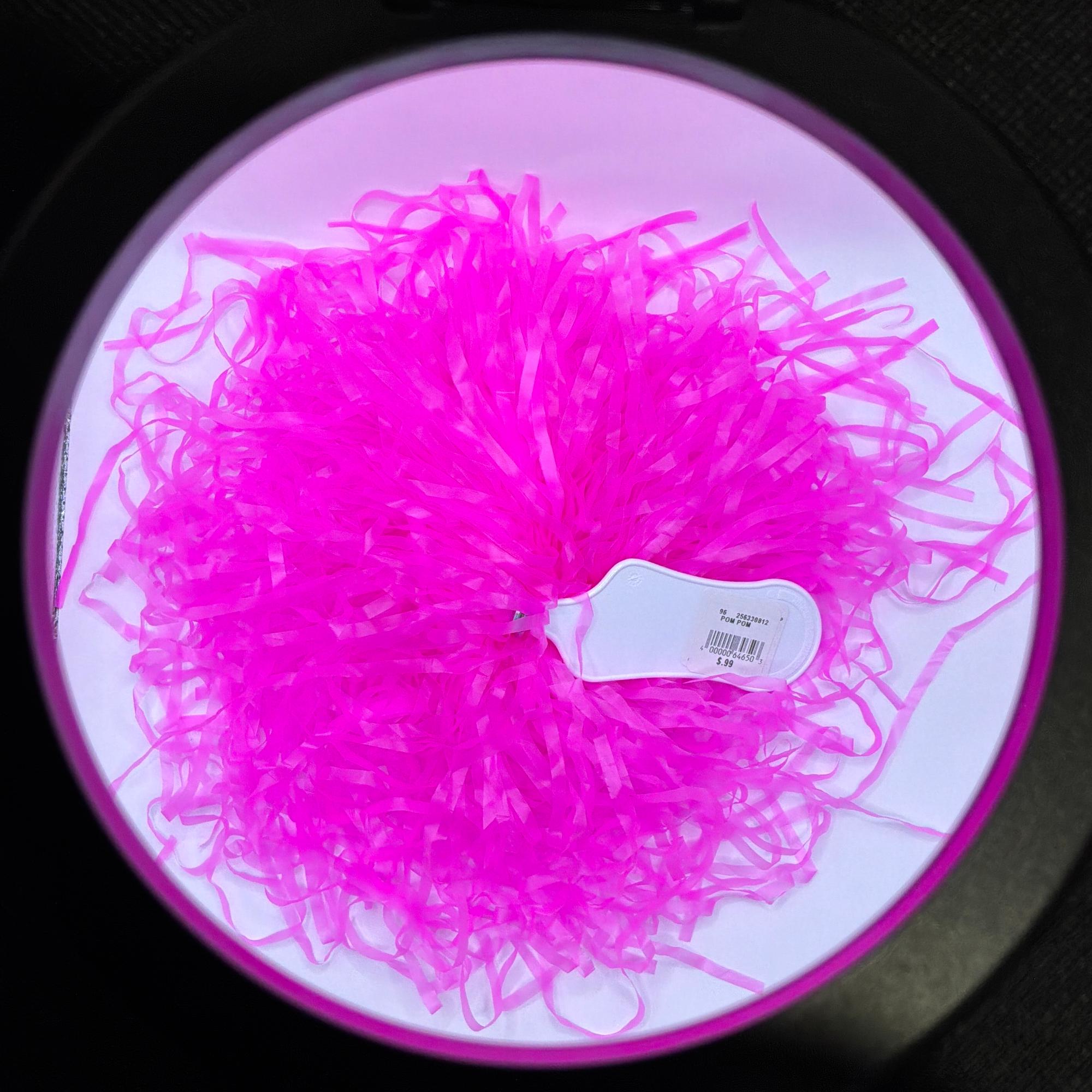 Product image 1 of 1 for Neon Pink Pom Pom
