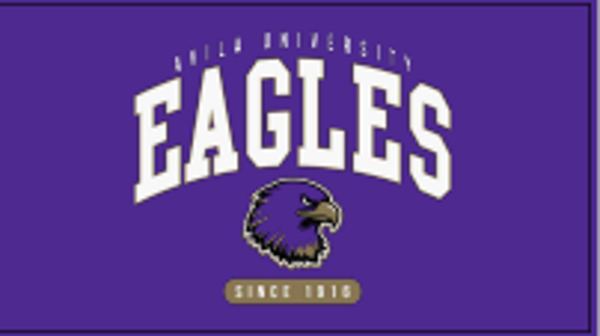 AU CREW SWEATSHIRT ARCH EAGLES; $44.99