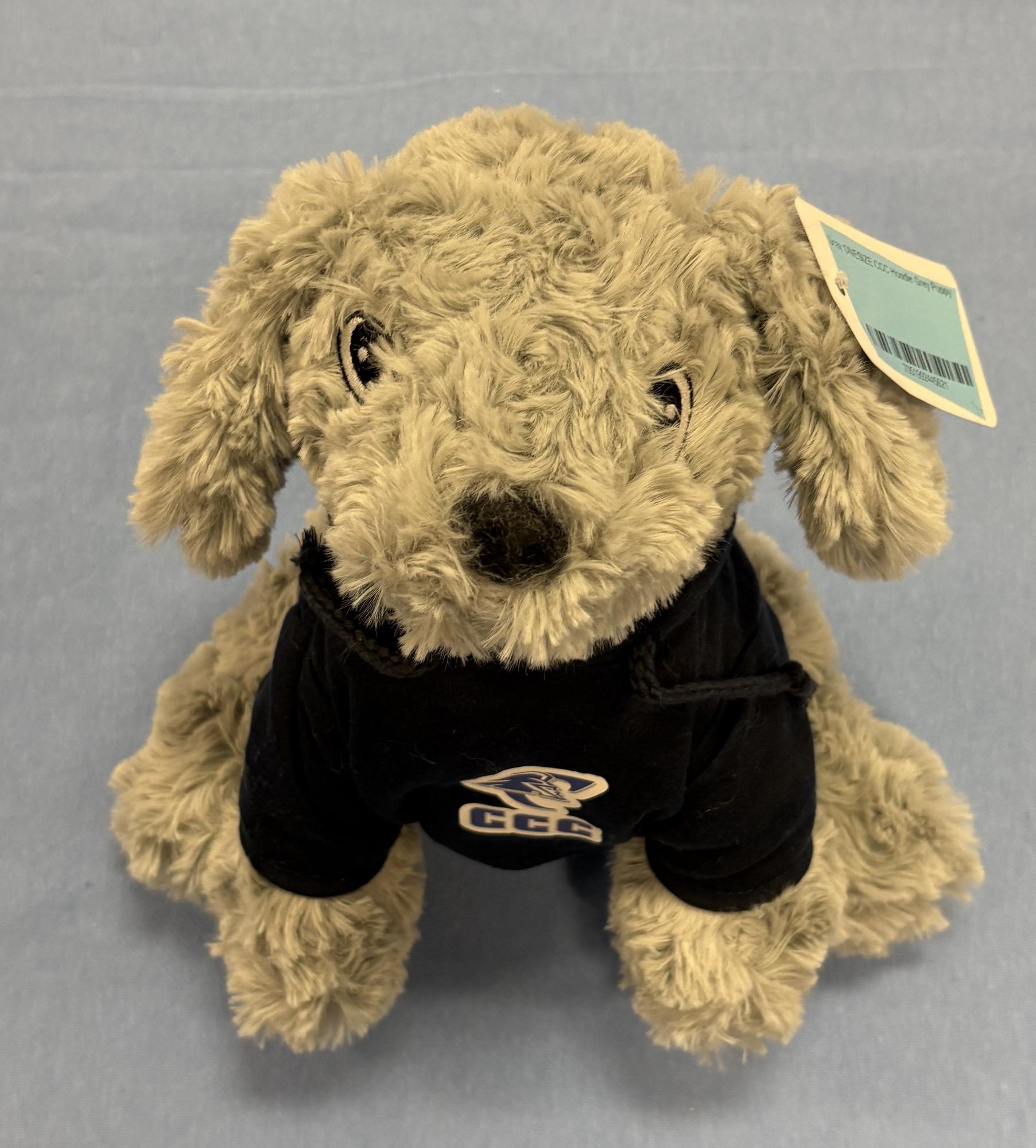 Enlarged product image