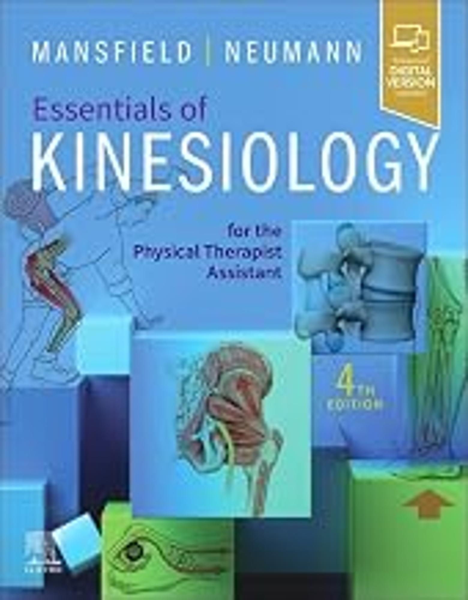 Cover image for Essentials of Kinesiology
