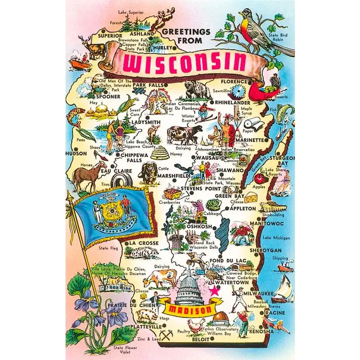 Product image 1 of 1 for Map of Wisconsin with State Flag Postcard