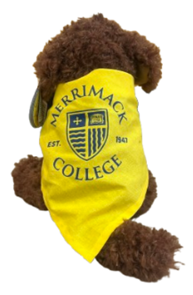 Chocolate Brown Labradoodle; $39.99