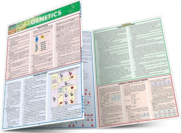 BARCHARTS / GENETICS; $6.95