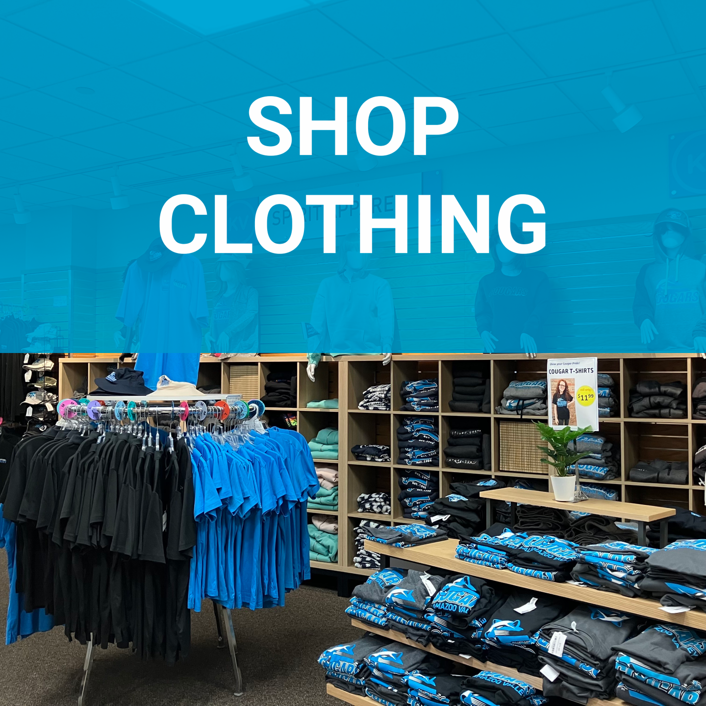 SHOP CLOTHING link