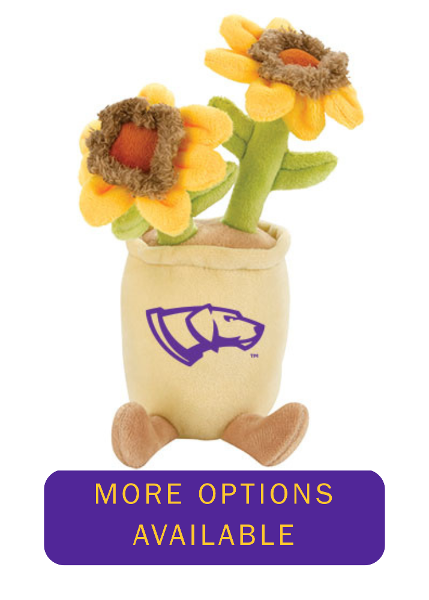 UWSP Pointers Zenzies Stuffed Potted Plants; $19.98