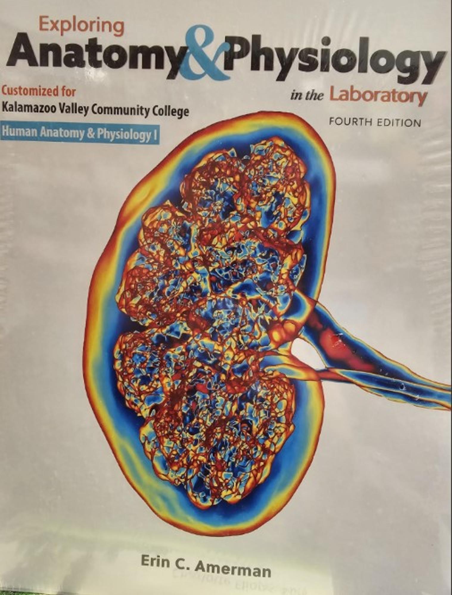 Cover image for BIO 115: Exploring Anatomy & Physiology in the Lab A&P I - 2nd ED