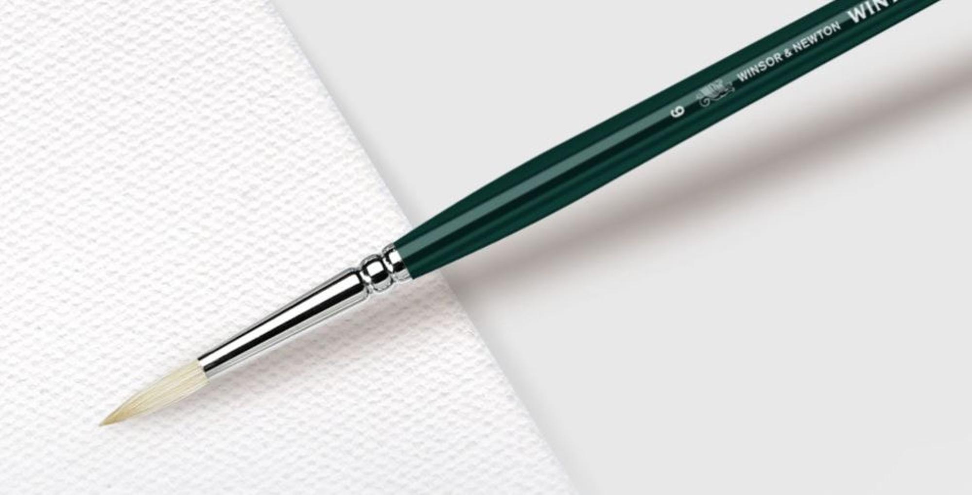 image of: Winton Hog Bristle Long Handle Brushes