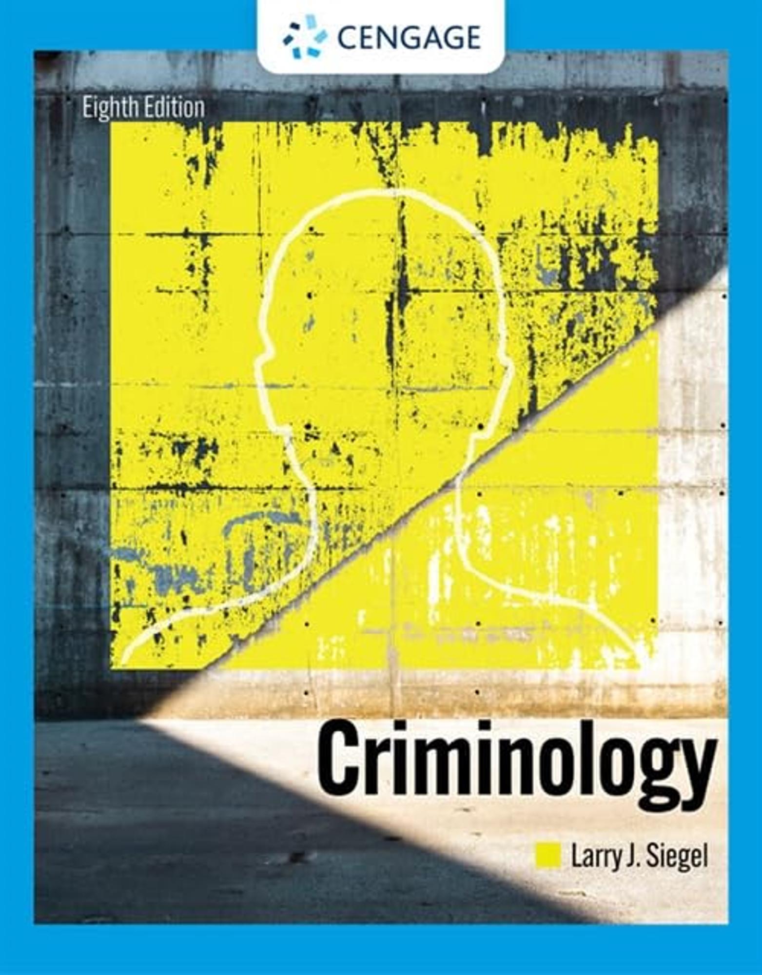Cover image for CRIMINOLOGY:THE CORE