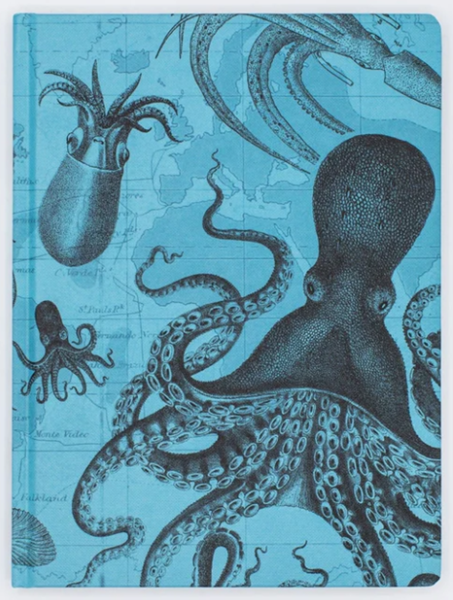 Variant image 18