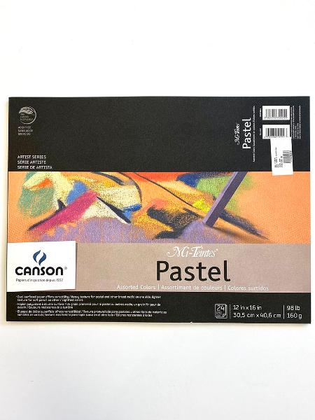 CANSON MI TEINTES PAD/ASST. 12X16 24 SHEET; $13.29