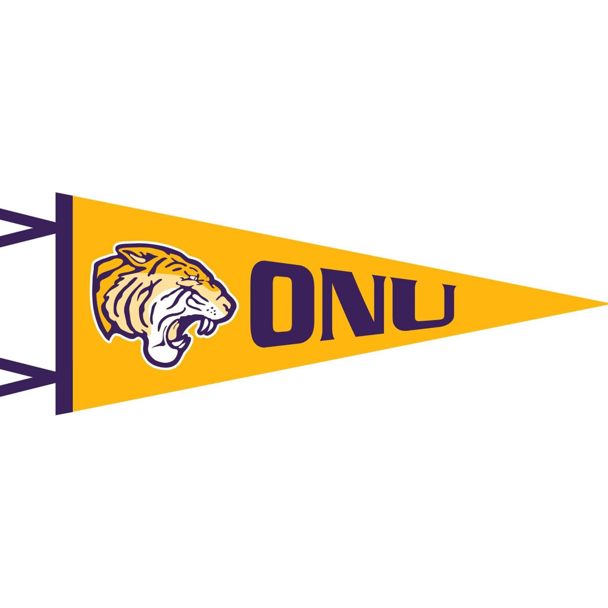 Gold 12x30 Flock Plus Pennant