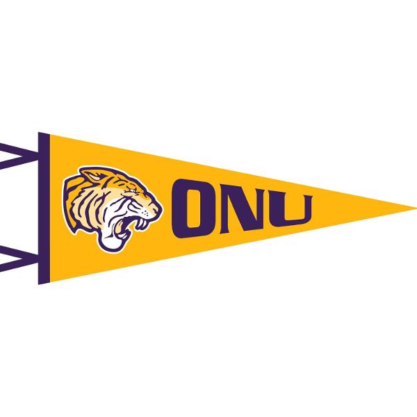 Gold 12x30 Flock Plus Pennant; $24.99