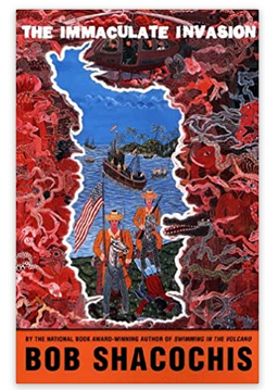 Cover image for The Immaculate Invasion : A War Story with No War in It