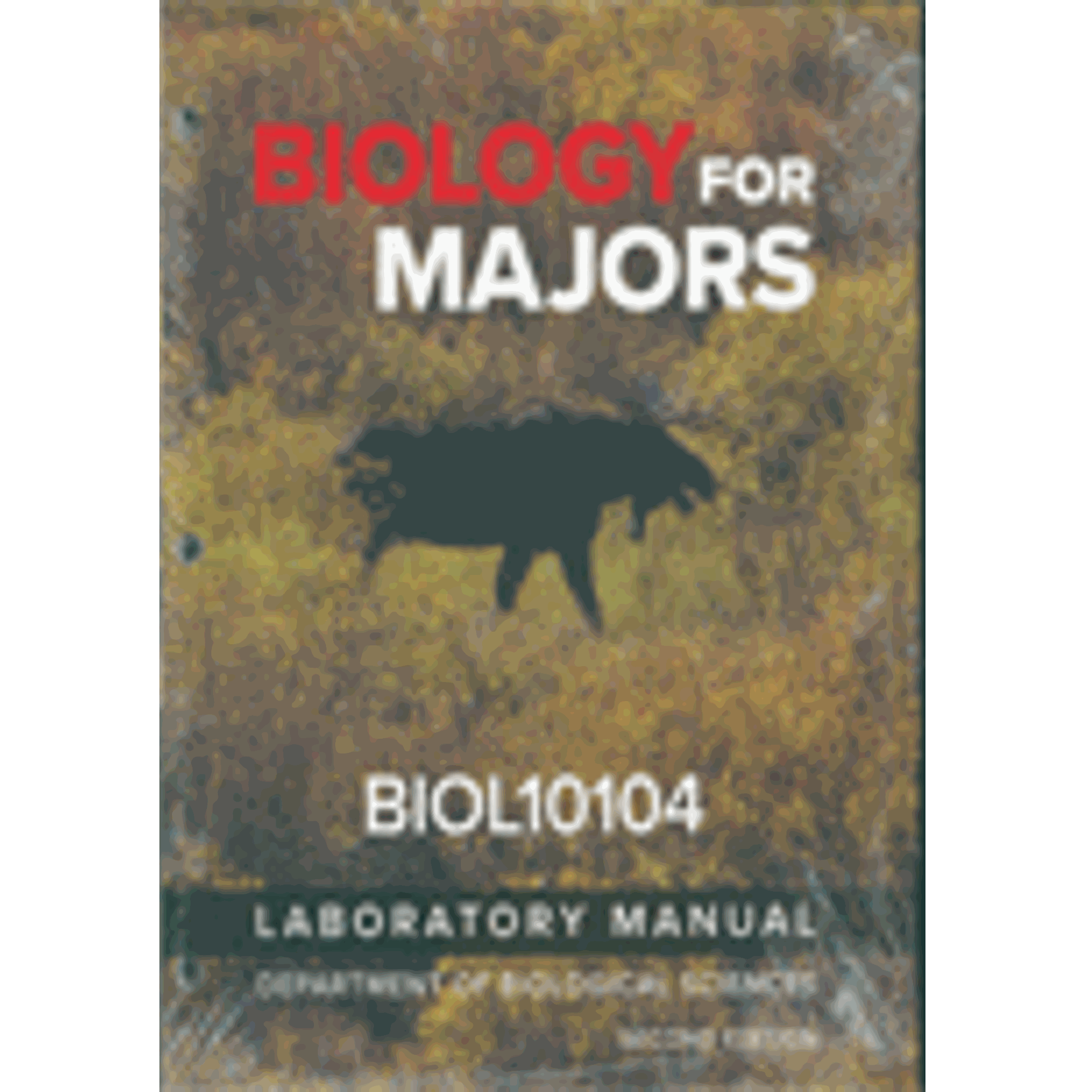 Cover image for BIOL 10104-LAB MANUAL >CUSTOM<