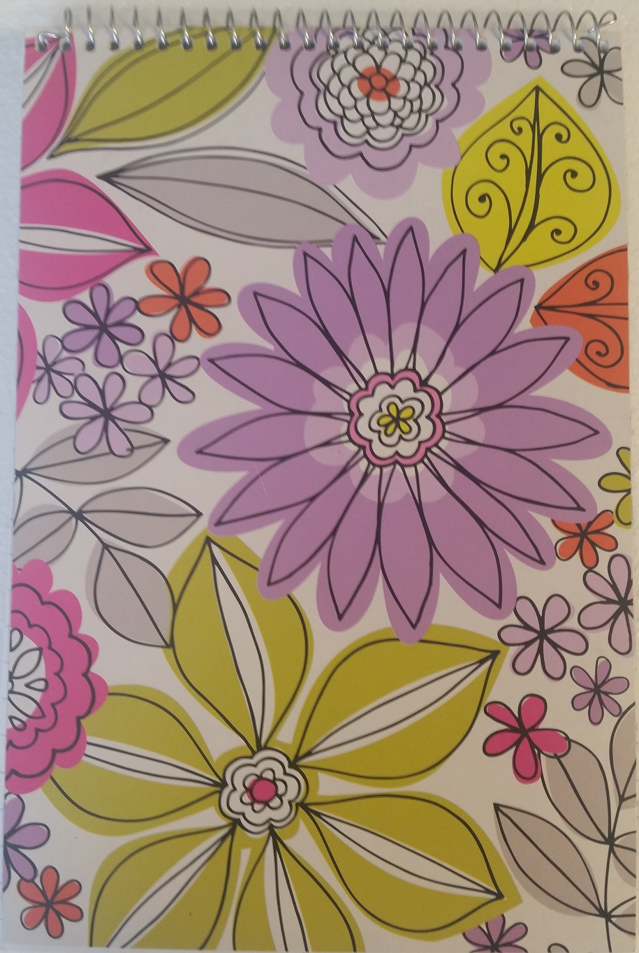 image of: Roaring Spring Steno Book 6 x 9 80 Sheets