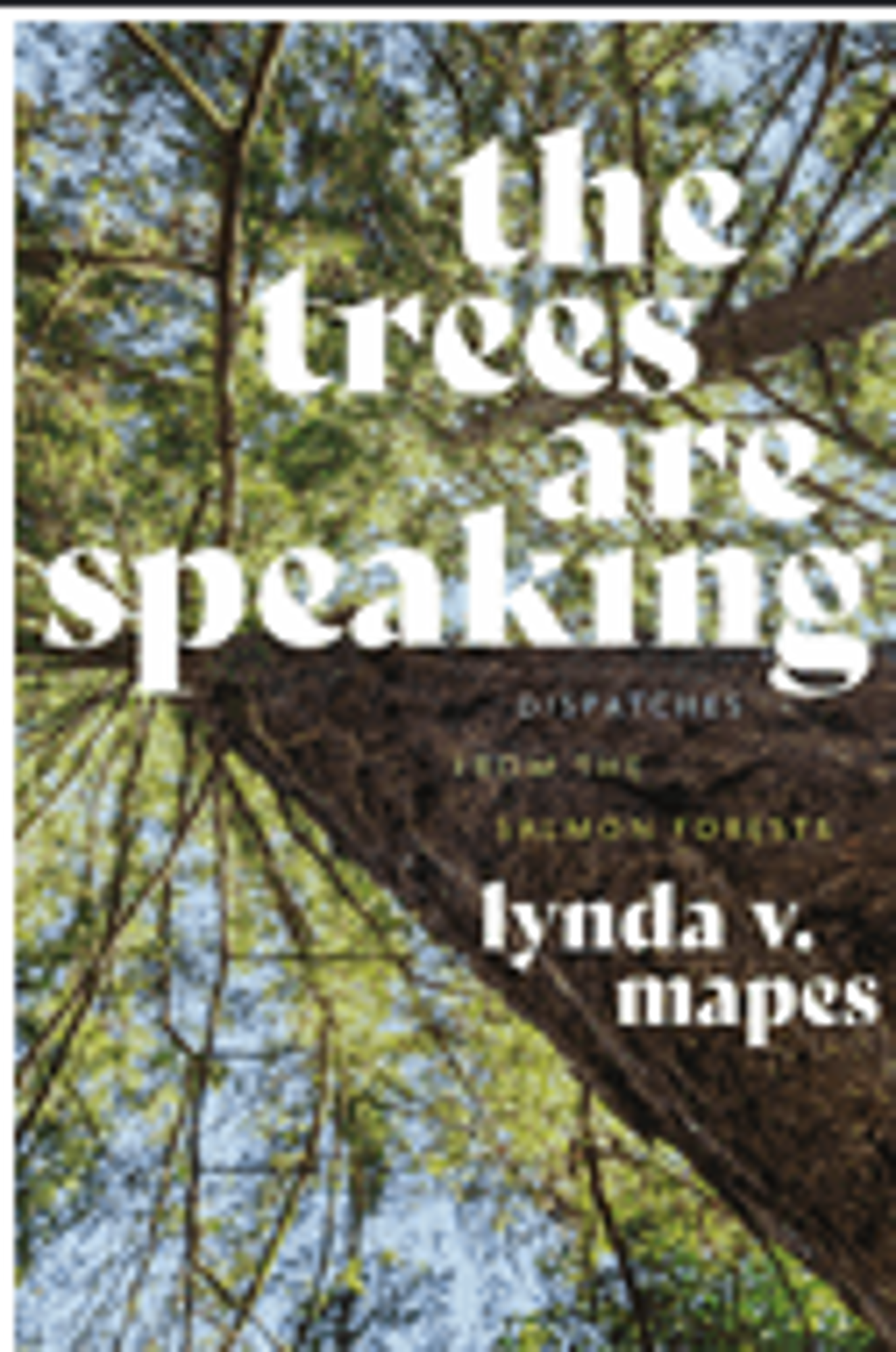 Cover image for The Trees Are Speaking: Dispatches from the Salmon Forests