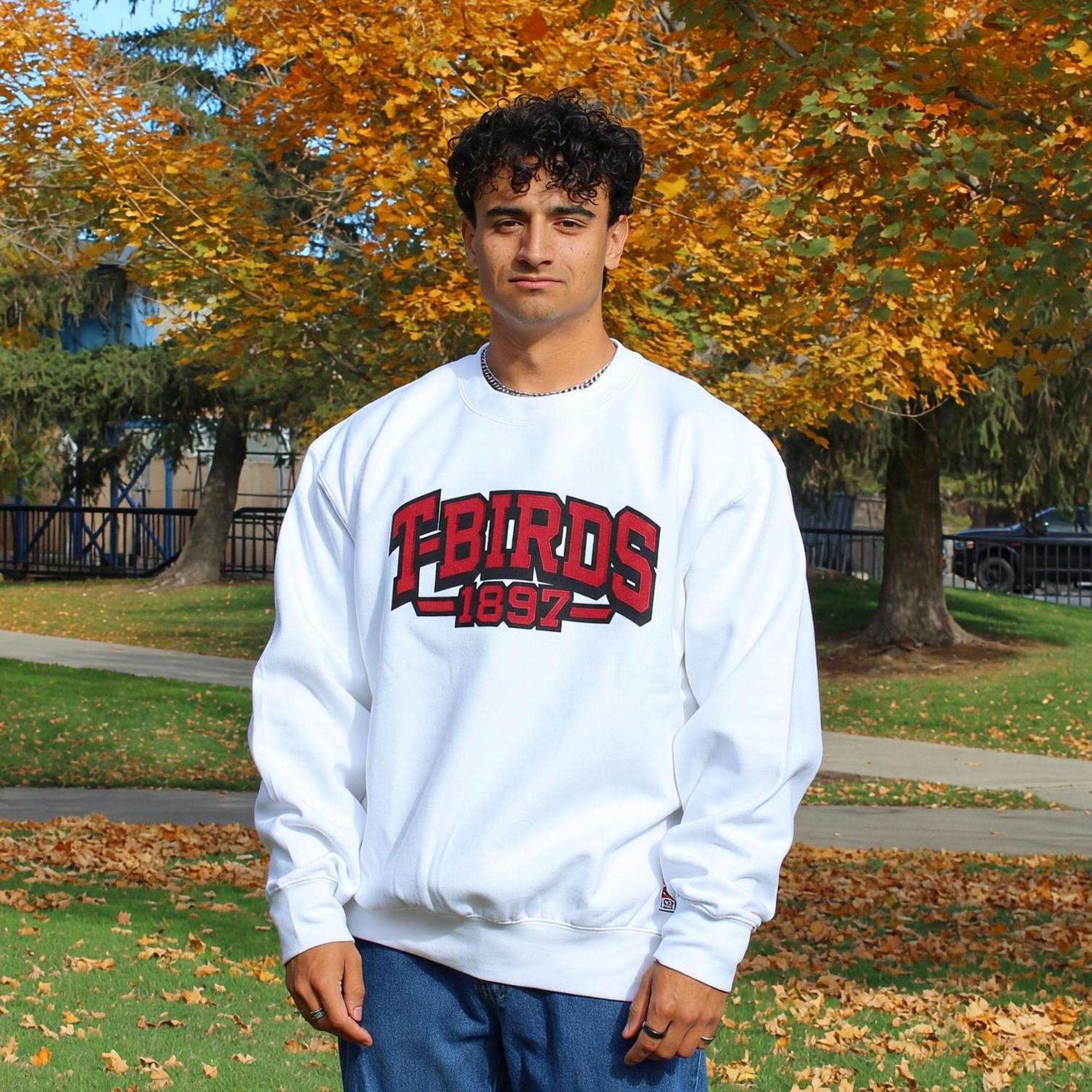 Product image 1 of 1 for CI Sports Crew White T-Birds