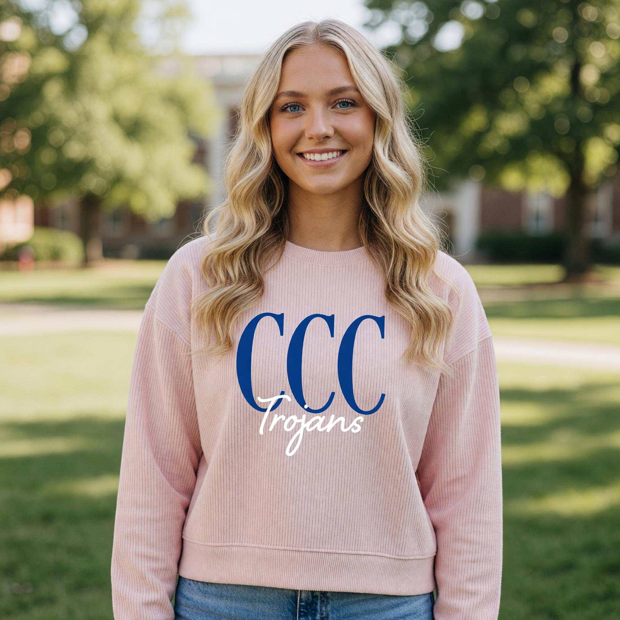 Product image 3 of 5 for Light Pink Corduroy Crew