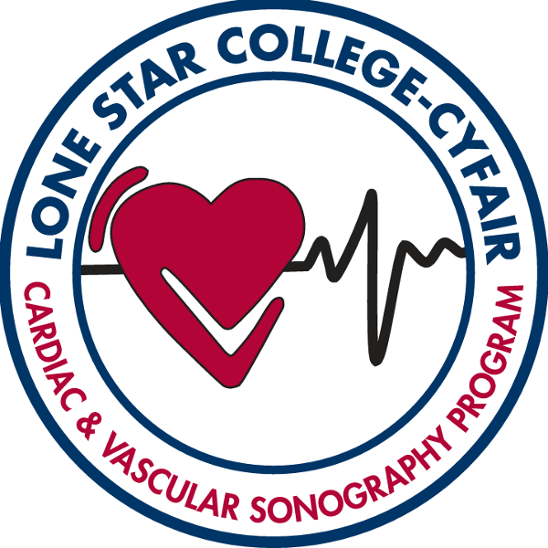 Lone Star College- CyFair Cardiac & Vascular Sonography Program 3in Patch; $6.98