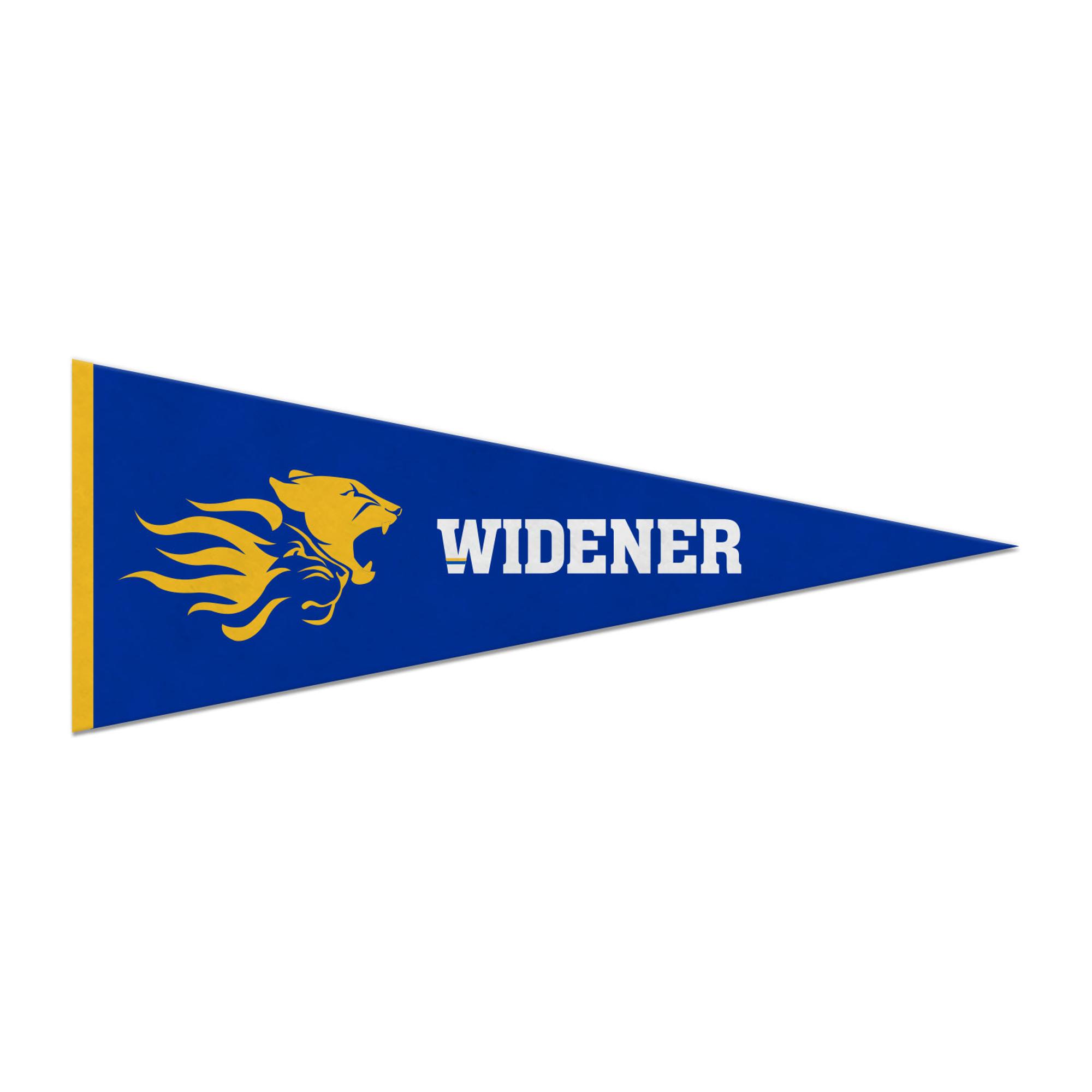 Product image 1 of 1 for Embroidered School Spirit Pennant