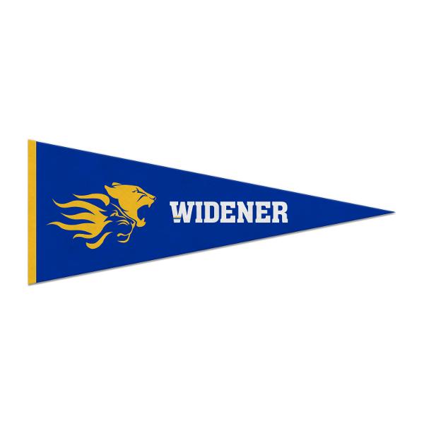 Embroidered School Spirit Pennant; $34.99