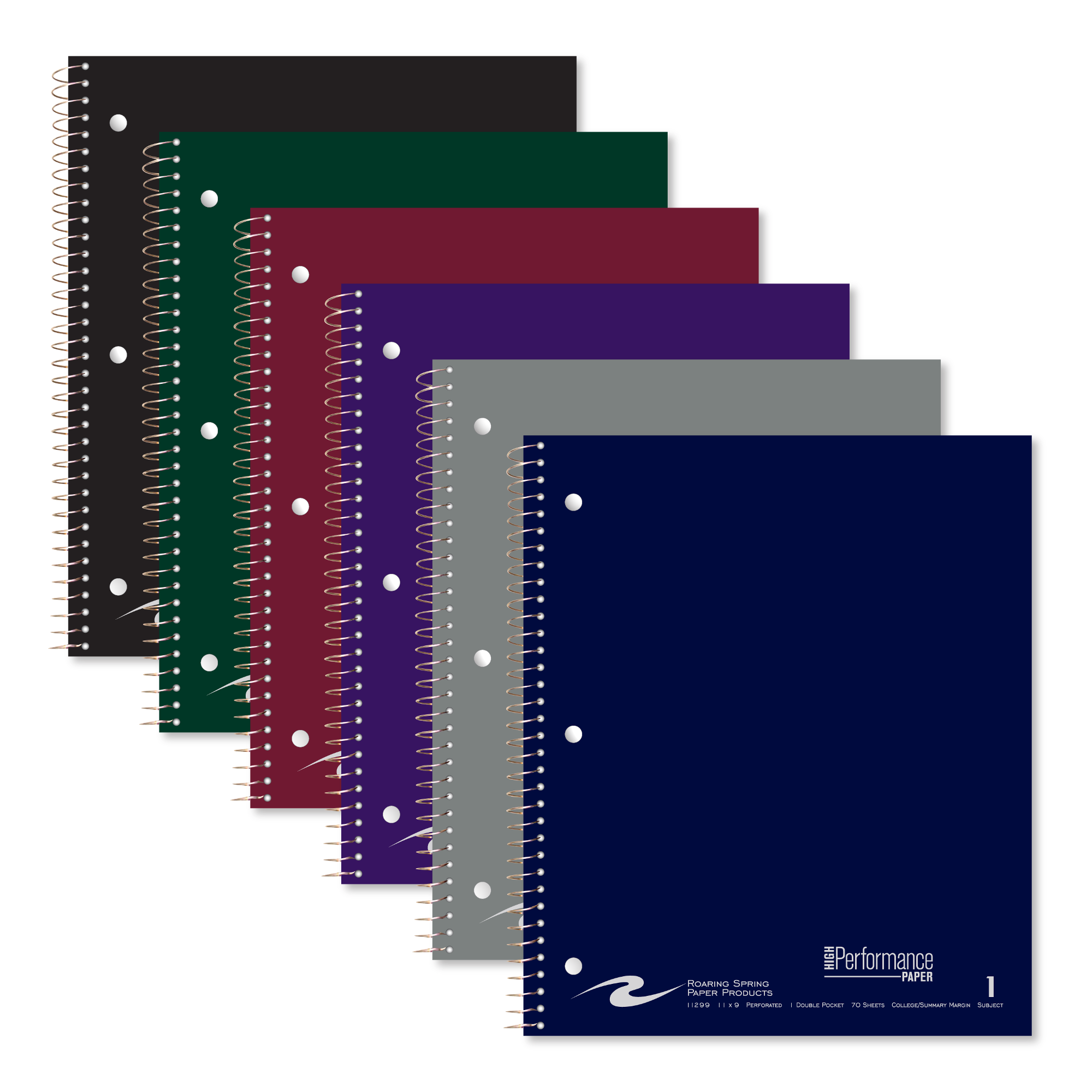 Product image 1 of 1 for SPIRAL 1 SUBJECT SUMMARY RULE