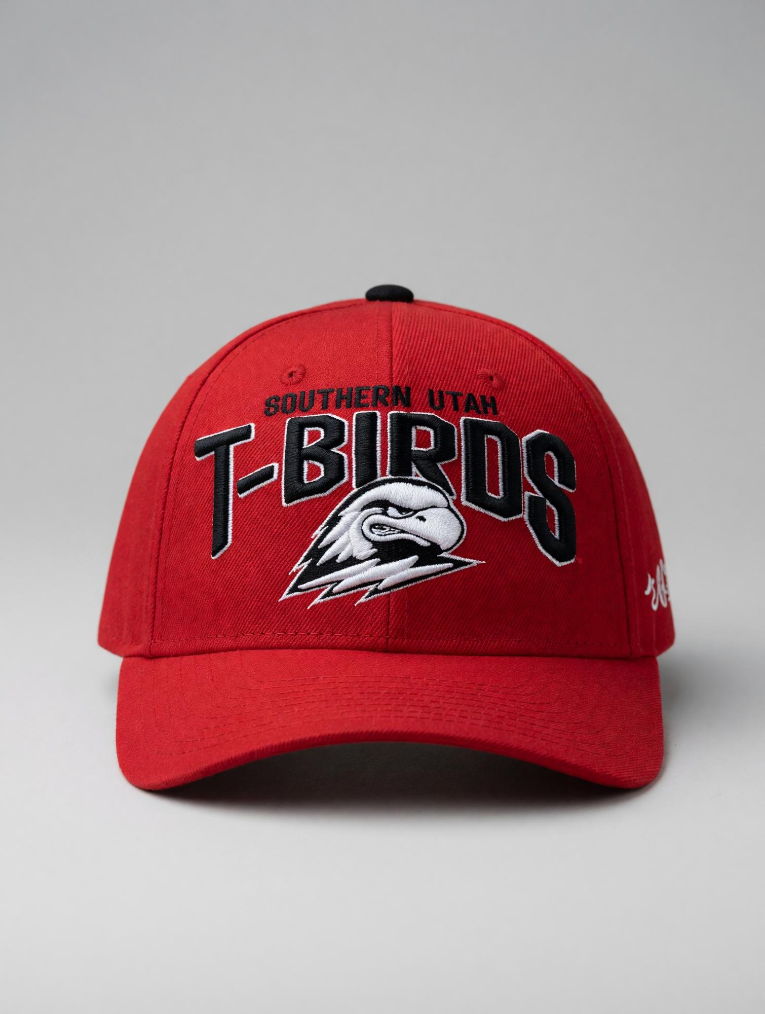 Product image 1 of 1 for Zephyr T-Birds Classic Snapback