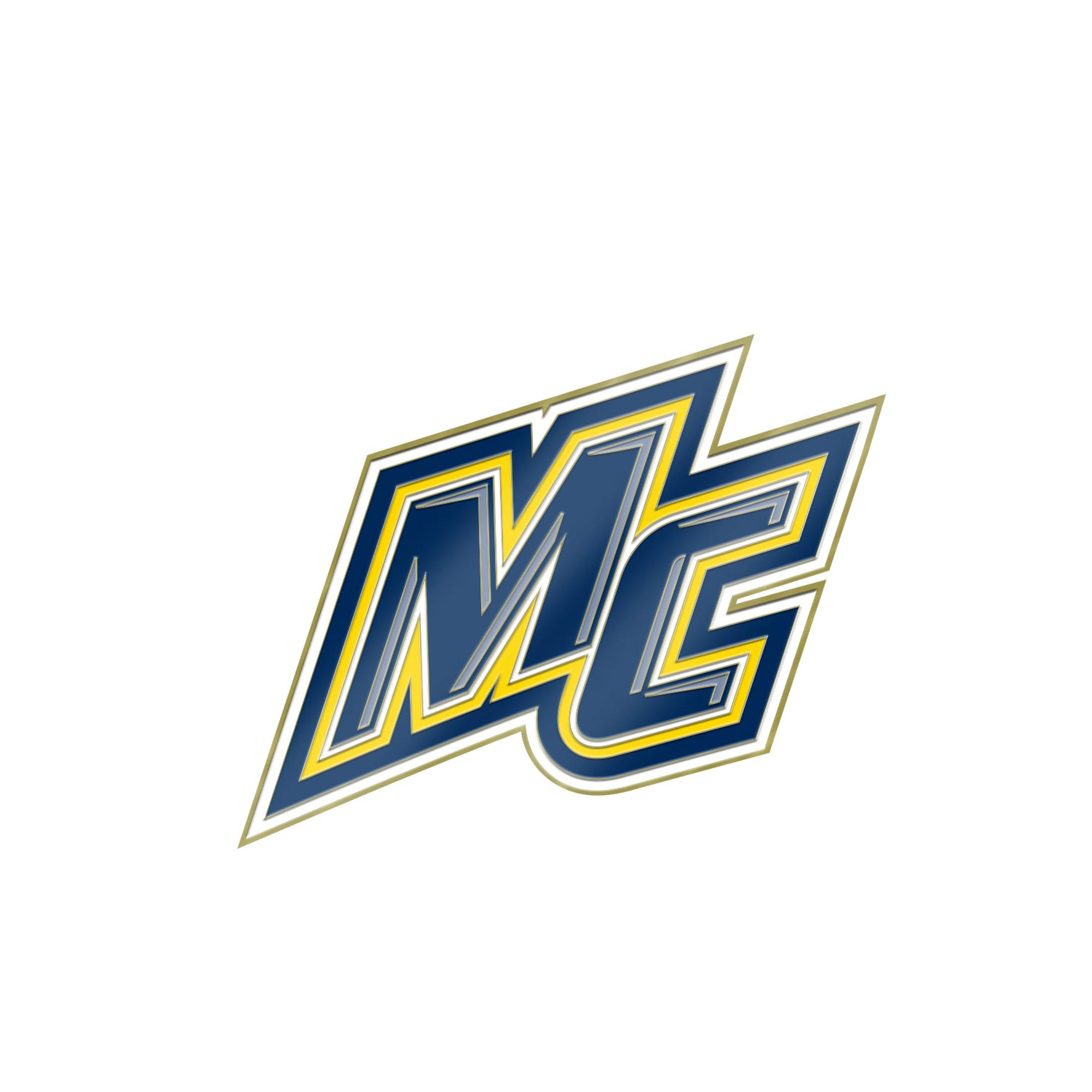 image of: Brass Lapel Pin